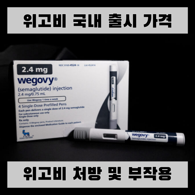  위고비 가격 국내출시 처방 부작용 간단하게 정리