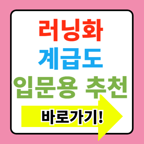  2024 러닝화 계급도(입문용 남성 러닝화 추천)