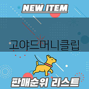 고야드 머니클립 당신의 스타일을 업그레이드할 3가지 선택
