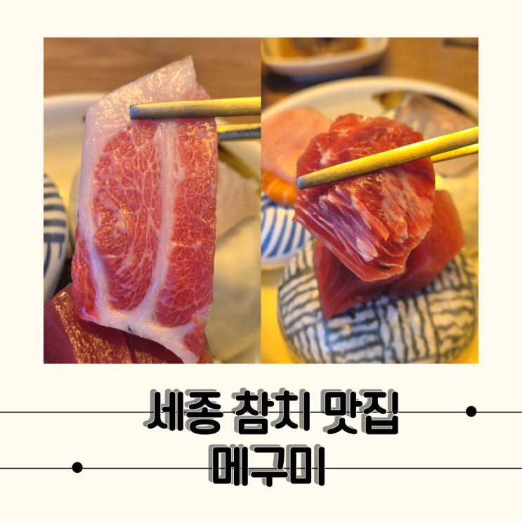  [세종] 고급스러운 세종참치맛집, 메구미 세종