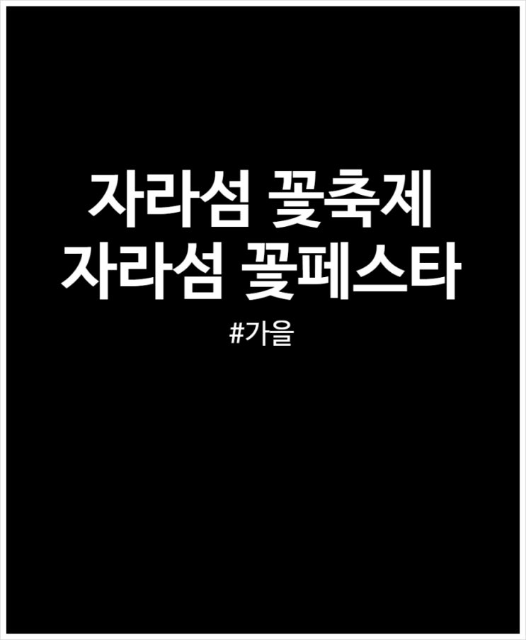 자라섬 꽃축제 만족도 아쉬움 (가을 꽃페스타 방문 후기)