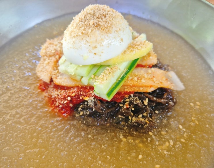 내돈내산)옥천군맛집 토박이가 적극추천하는 칡냉면 물만두 딱! 두 메뉴만 있는'사계절칡냉면'