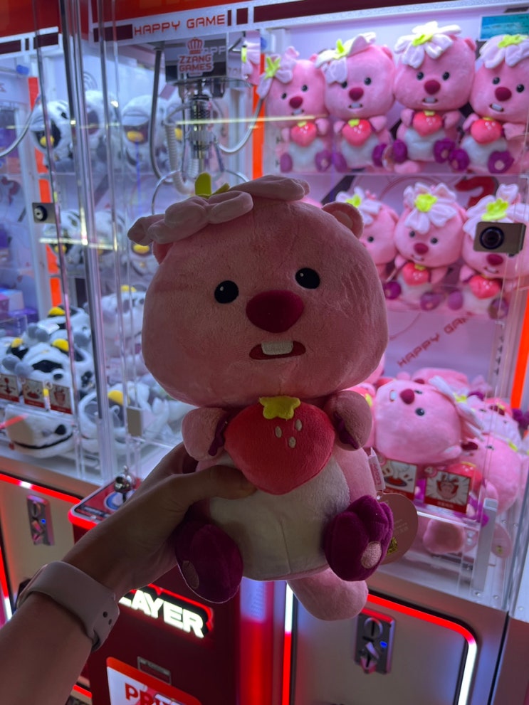  강남역 실내놀거리 인형뽑기 짱오락실 추천