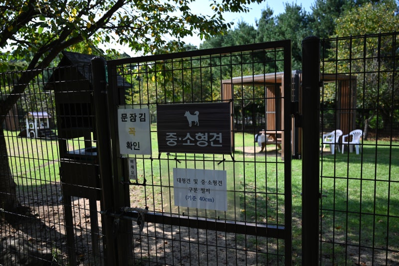 사진 5