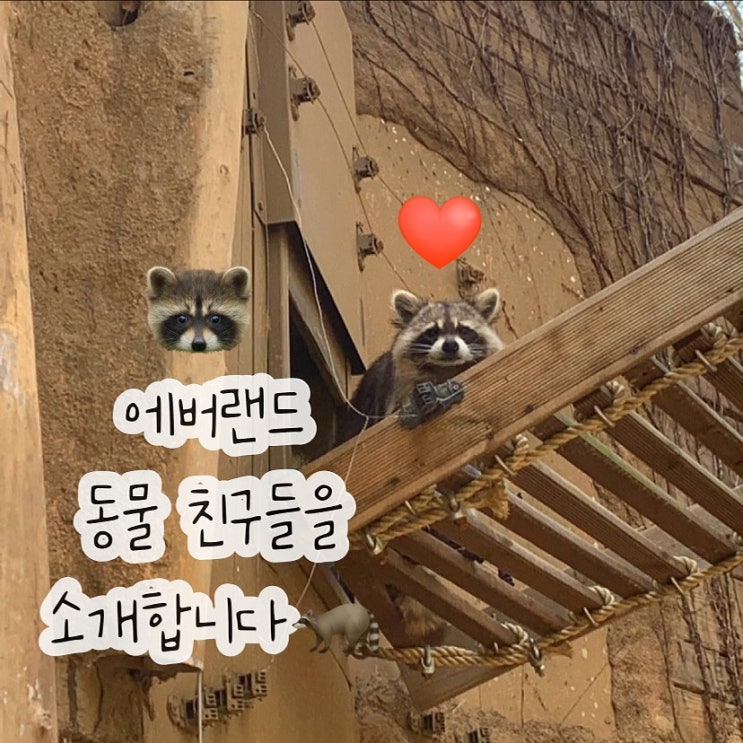  에버랜드엔 어떤 동물이 살고 있을까?