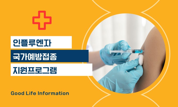 인플루엔자 국가예방접종 지원 프로그램 인플루엔자 국가예방접종 지원 프로그램