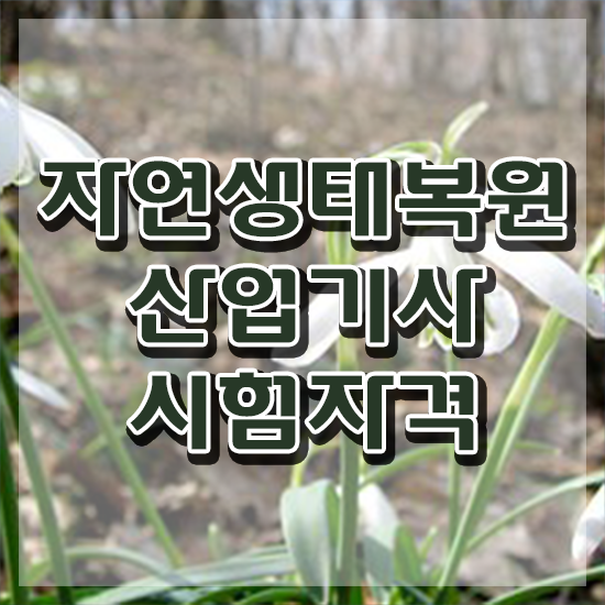 자연생태복원산업기사 하는일 자연생태복원산업기사 자격요건 독학으로 간단하게 준비한 팁
