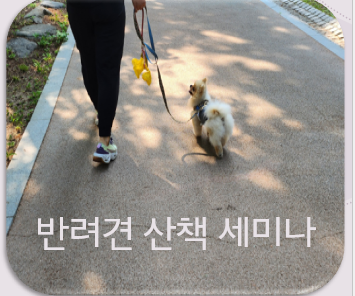 https://mblogthumb-phinf.pstatic.net/MjAyNDA5MTRfNDcg/MDAxNzI2Mjk3MDc1NDc1.MCKH6I3G5iPX8kcDjdOrdUpqiU5BbyG5-lGLmSltUBwg.ocwc31VF-NmhTsnPMpbwXAkTKms-4etDVCxJCOd_OfMg.PNG/image.png?type=w800