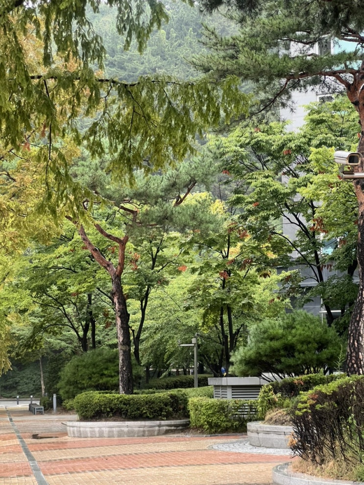  계절앓이