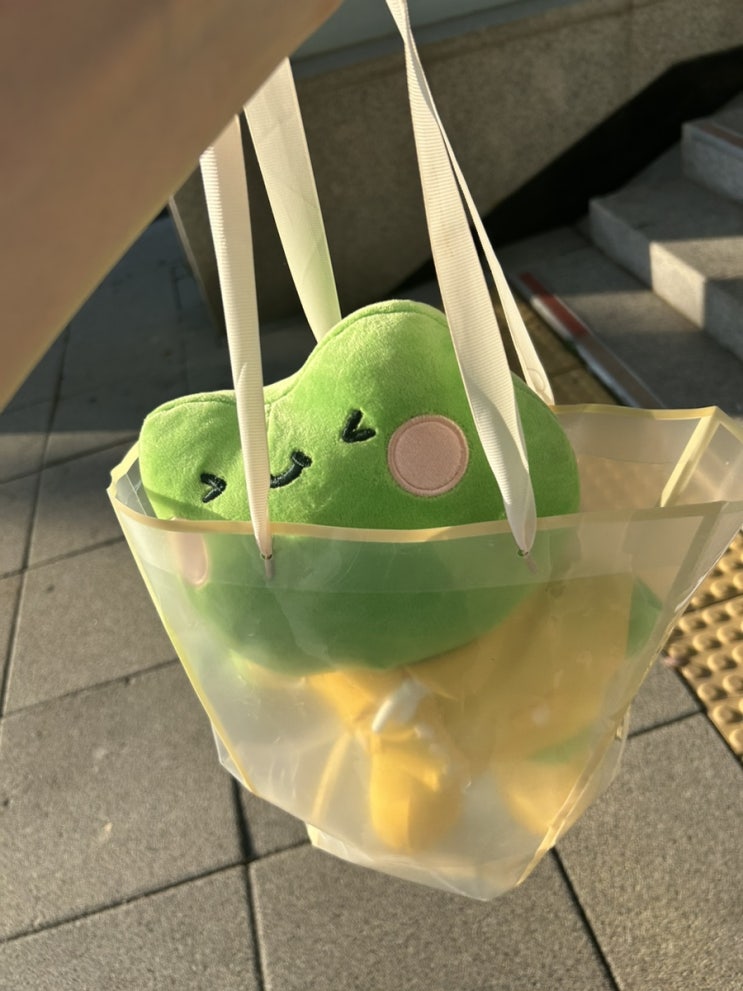  회사 집 루틴 결무의 하루