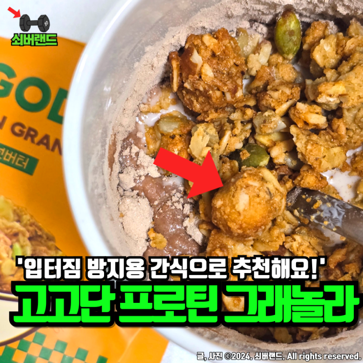  단백질식단에 어울리는 간식 고고단 프로틴 그래놀라추천
