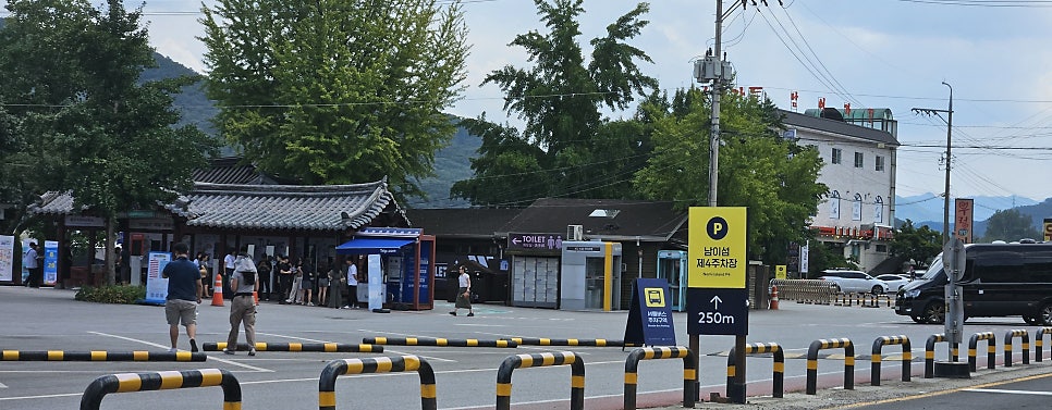 만승호보이차 사진 2