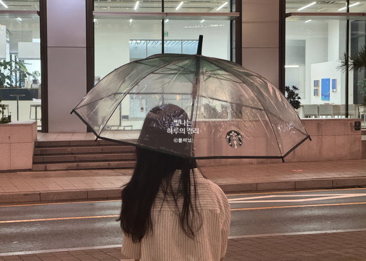 깔끔하고 튼튼한 스타벅스 투명장우산 그린