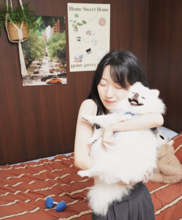  반려동물동반 수원셀프사진관 포브스튜디오