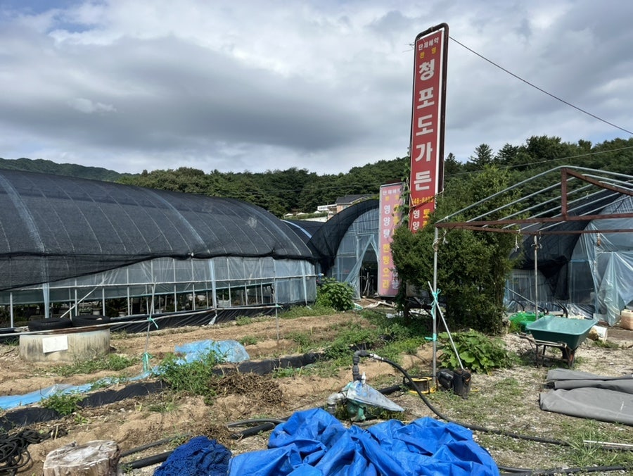 호반식당 사진 5