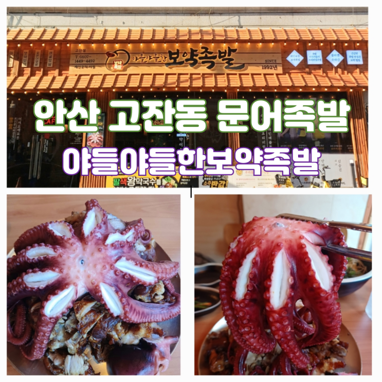 안산 고잔동 맛집 대왕꽃문어족발 야들야들한보약족발보쌈 고잔점 안산 고잔동 맛집 대왕꽃문어족발 야들야들한보약족발보쌈 고잔점