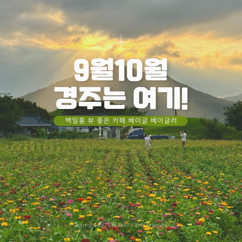 사진 7