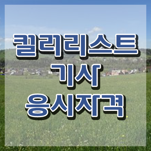  컬러리스트기사 응시자격 서류제출 컬러리스트기사 자격요건 인강으로 간편하게 성공한 노하우