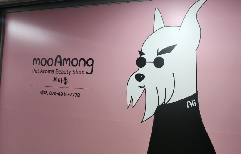 사진 4