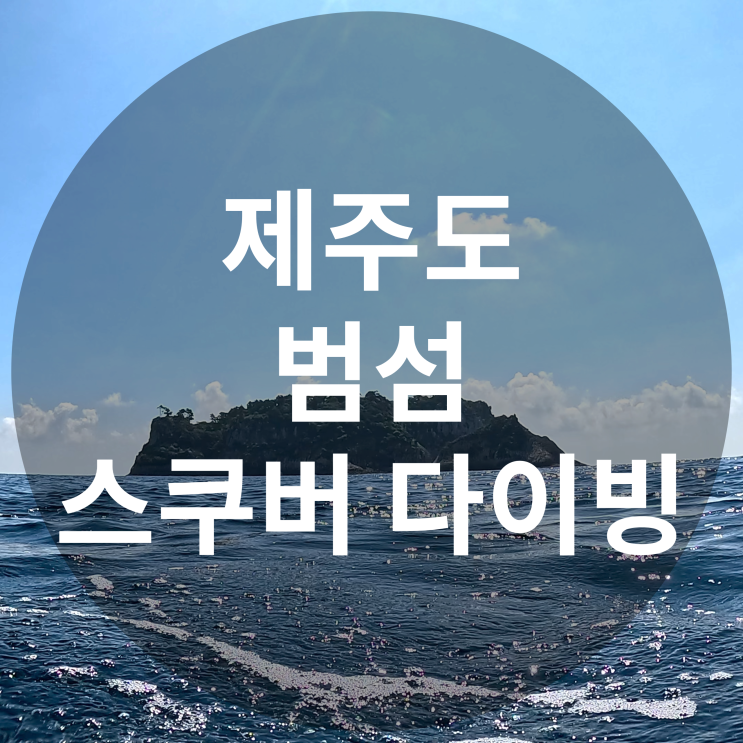  제주도 서귀포 범섬에서 스쿠버 다이빙 후기