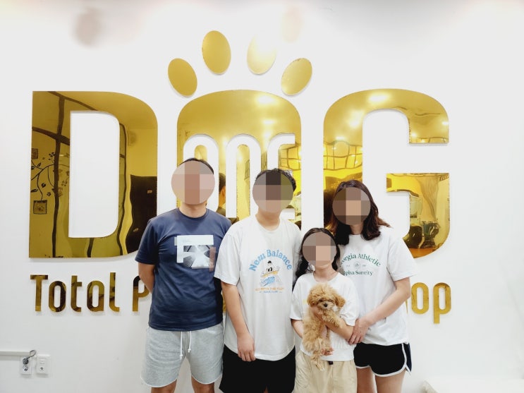 세종시 원독 애견센터 말티푸 분양 완료! 귀여운 반려견을 찾으신다면? / 강아지분양 세종시 애견샵 조치원 강아지분양 오송강아지분양