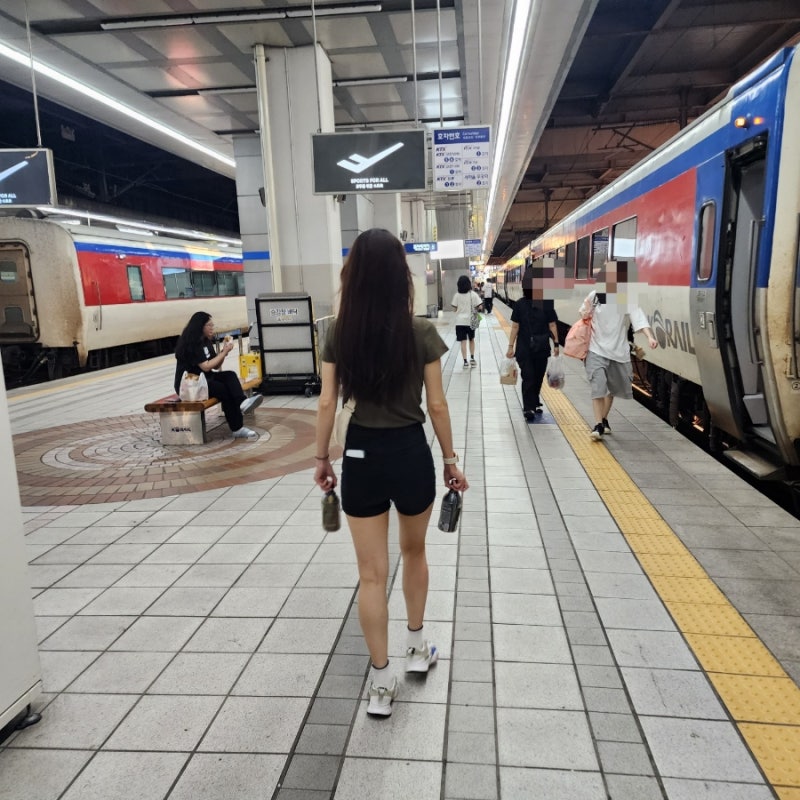 사진 9