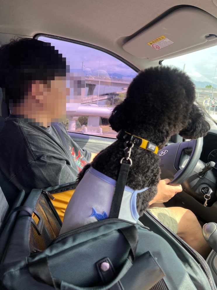  강원도는 지금 가을, 추석 맞이 여행 중