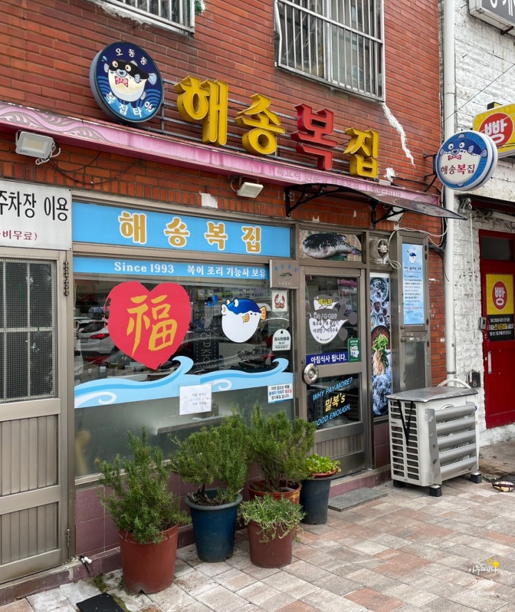  마산 어시장 복어거리를 아시나요? 진짜 맛있습니다.. 해송복집(feat, 복어의 효능)