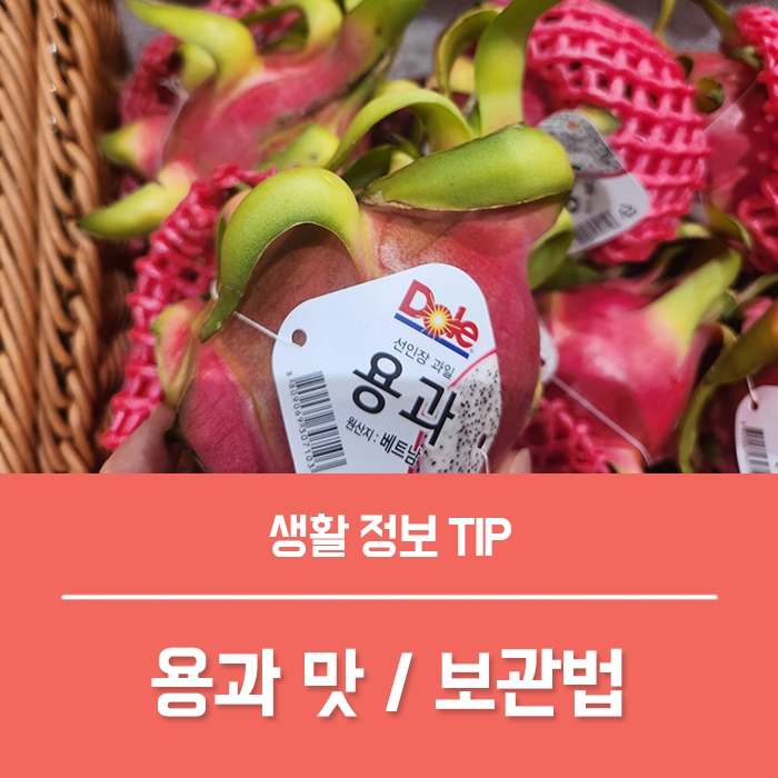  용과효능 용과 맛 보관법 부작용 총정리!