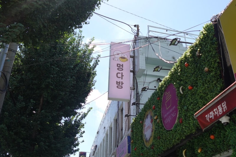 사진 4