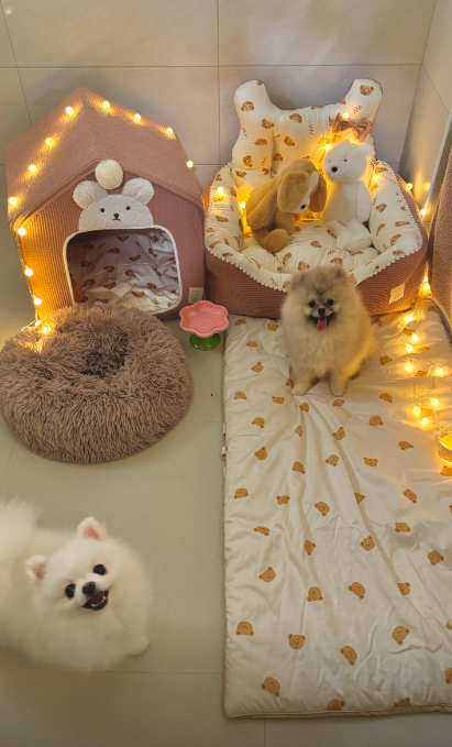 사진 3