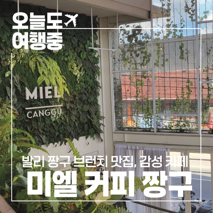  [발리 짱구 카페 추천] 발리 짱구 맛집 미엘 커피 짱구 MIEL Coffee Canggu