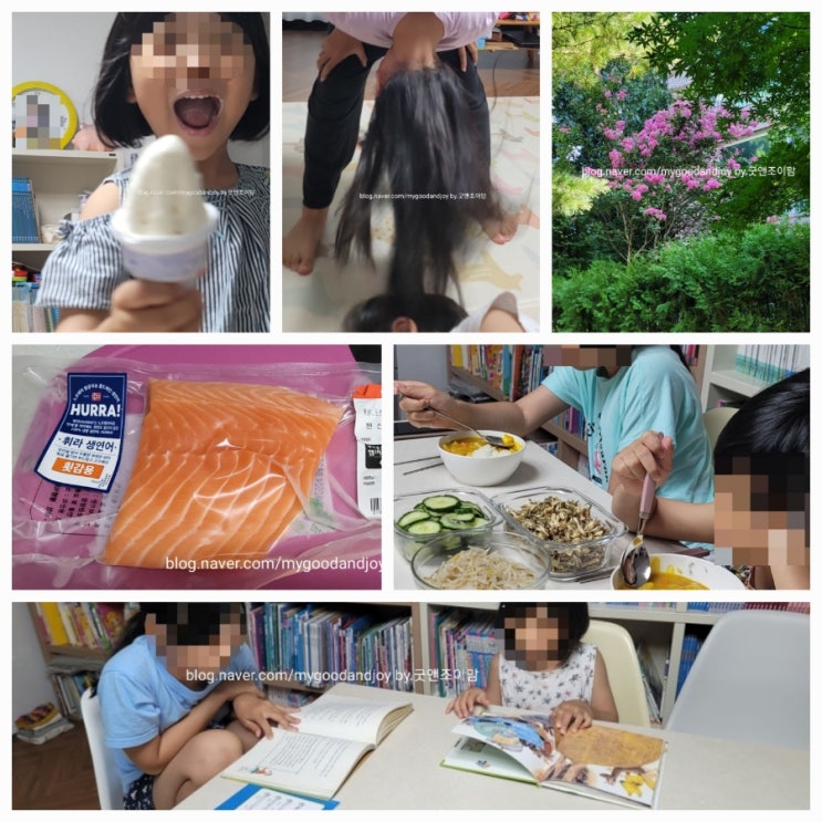 동탄 일상9_더운날씨 초4병 우리집 저녁메뉴 욕실청소 어린이요리교실 배롱나무 셀프염색하기 생연어회 등 동탄 일상9_더운날씨 초4병 우리집 저녁메뉴 욕실청소 어린이요리교실 배롱나무 셀프염색하기 생연어회 등