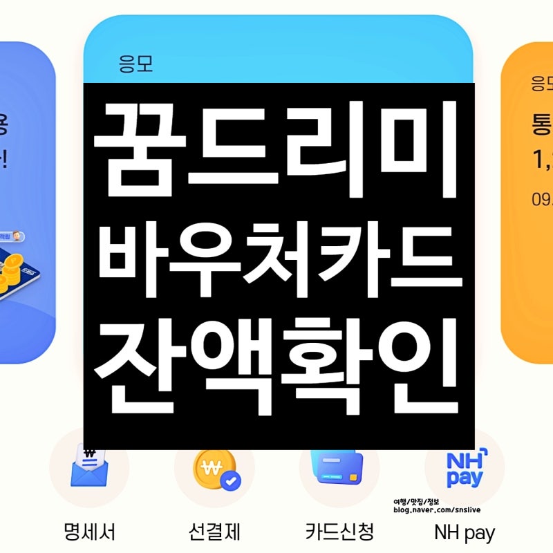 광주 꿈드리미 바우처 체크카드 이용내역 과 잔액조회