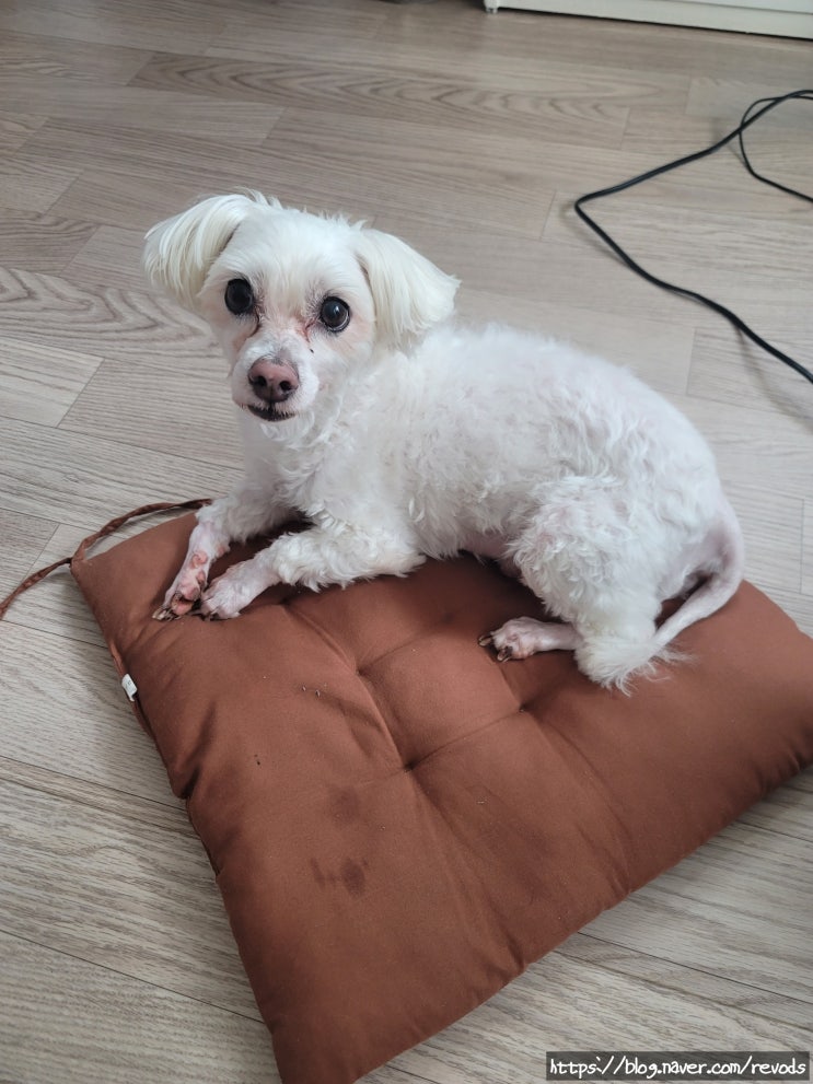  <일상> 9월 1~2주 차, 여행과 소소한 일상