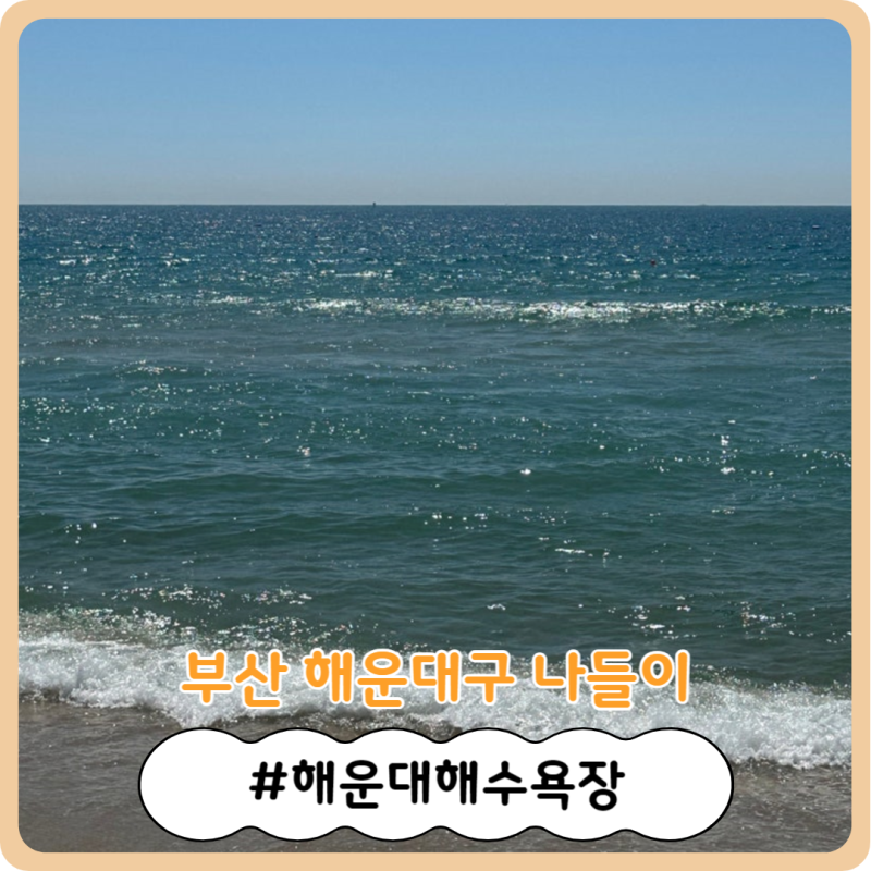 사진 3
