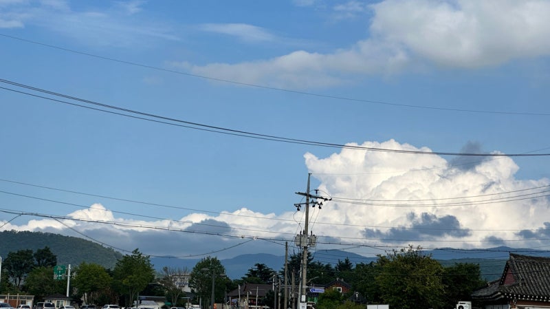 사진 8