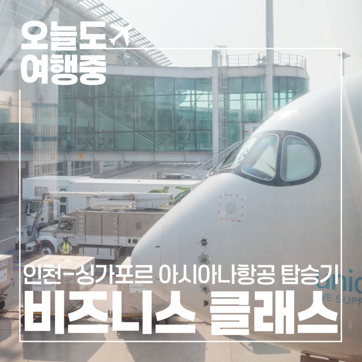  [인천-싱가포르 비즈니스 탑승기] 아시아나항공 스타얼라이언스 OZ751