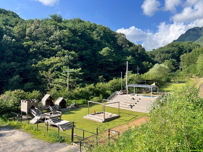 사진 6