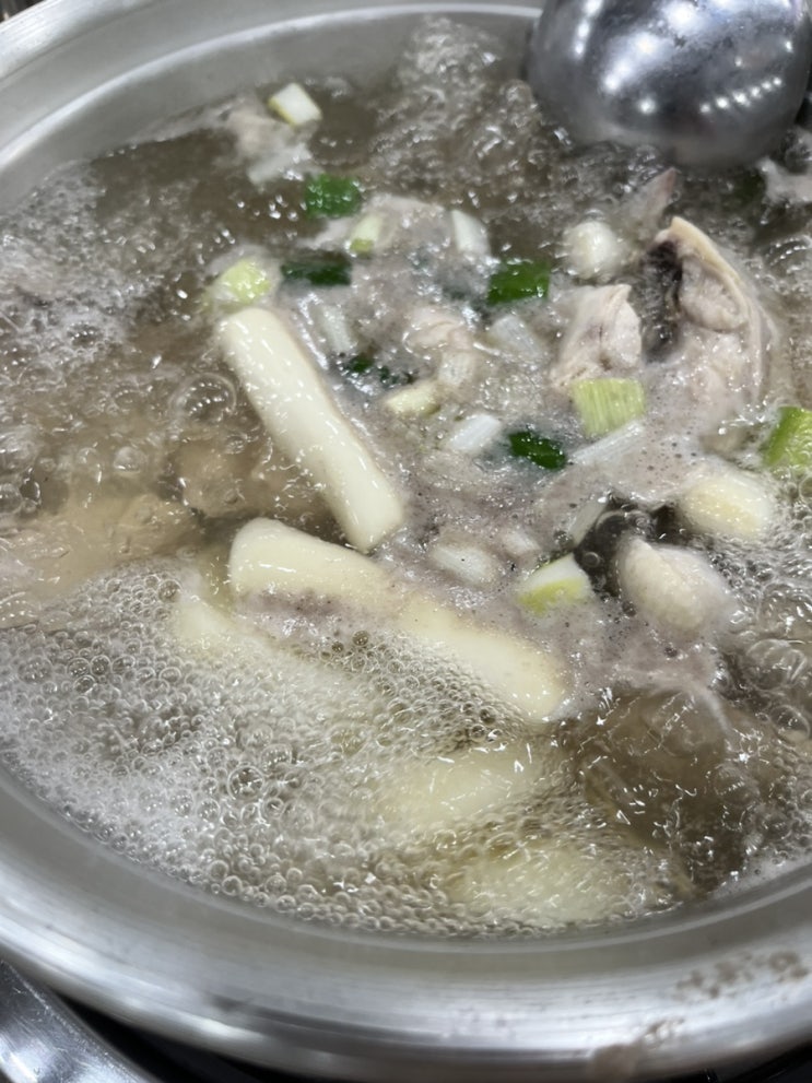  둔산동 명동닭한마리 둔산을지점 – 아이와 함께한 푸짐한 닭한마리 한 끼