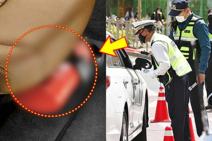 “없어요? 당장 과태료!” 아빠들 자동차, 이제 ‘이것’... 