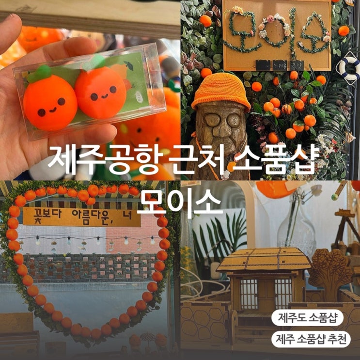  제주공항 근처 소품샵 모이소(ft.제주도 기념품샵 추천)