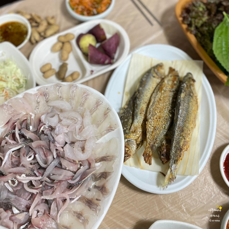  집 나간 며느리도 돌아옵니다. 마산 어시장 전어회 전어구이 맛집, 새마산활어횟집 (저렴하게 먹는 꿀팁)