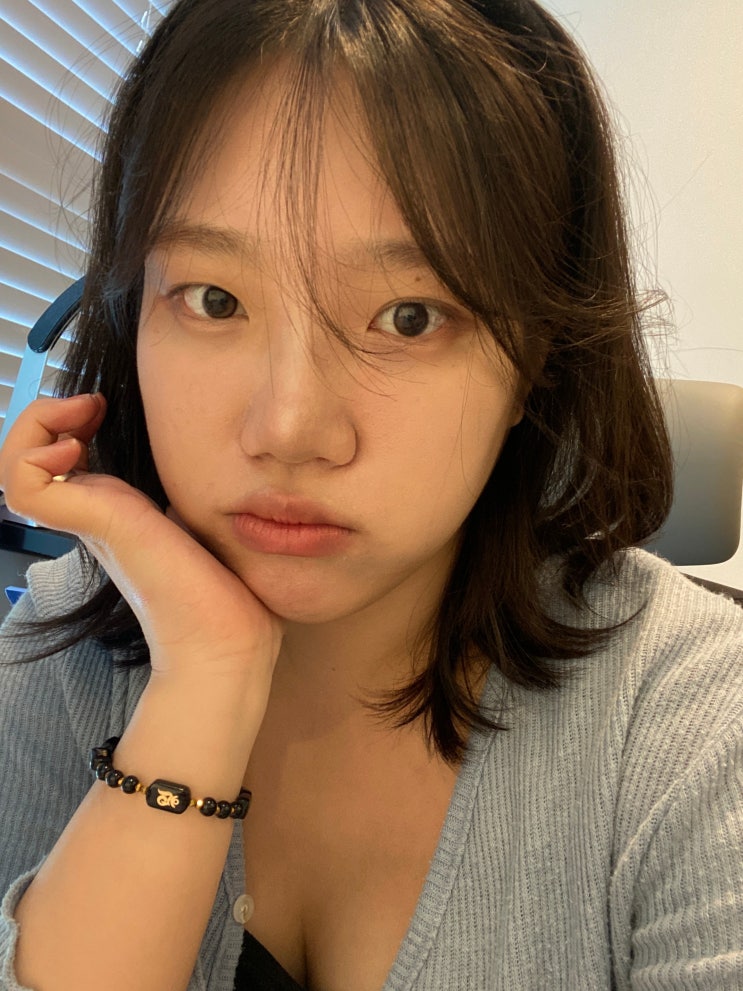  자꾸 쫓기듯 쓰게되는 블챌;