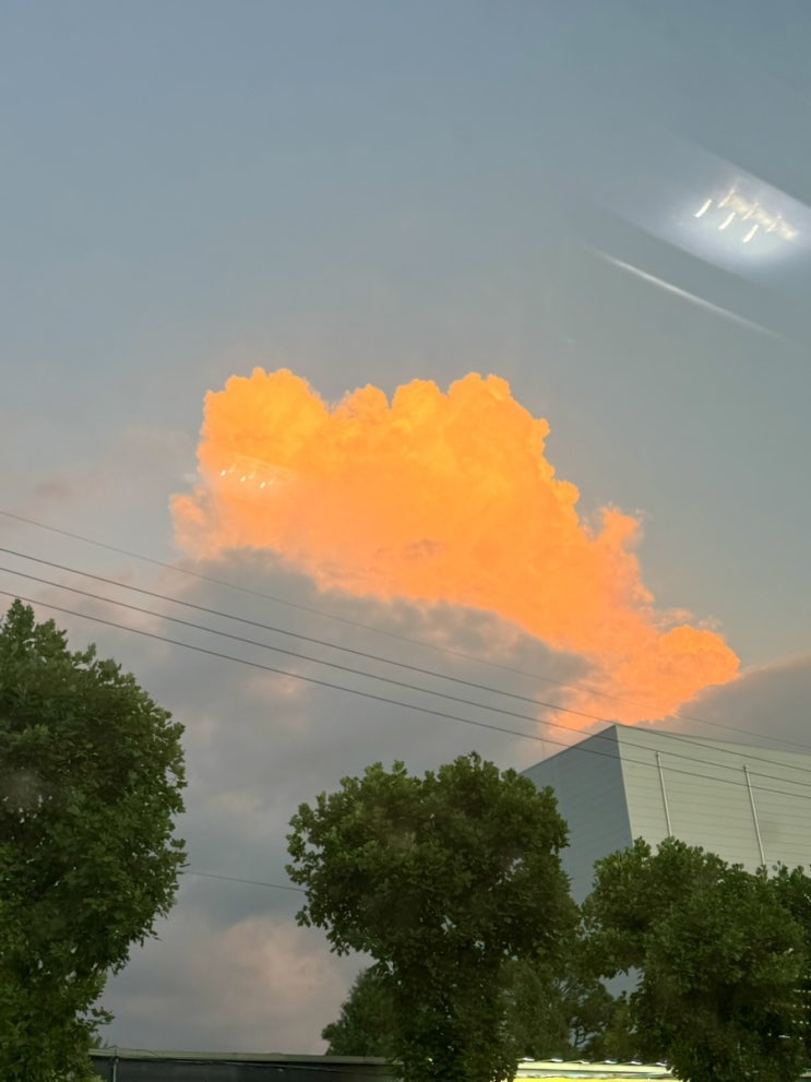  9월 둘째주_ 냐암의 일상 몰아보기