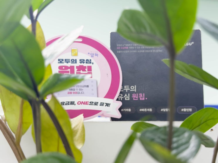  선불유심 개통 방법 셀프 절차 정리