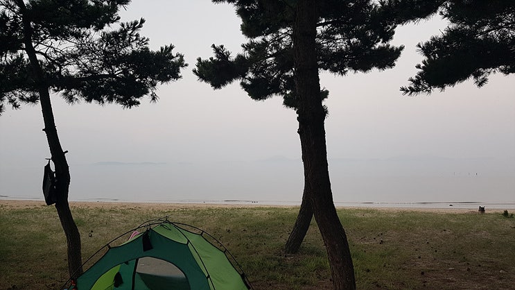 사진 8
