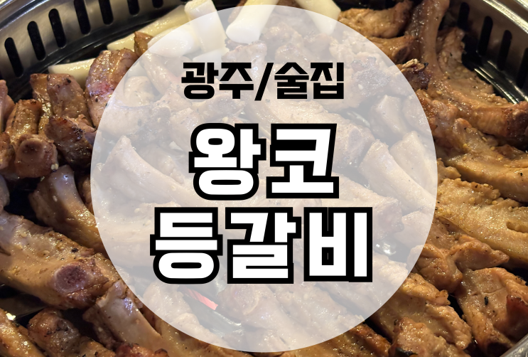  광주 금호동 먹자골목 맛집 왕코등갈비 쪽갈비구이