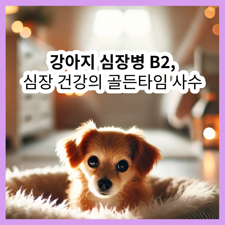  강아지 심장병 B2 예방, 골든타임 반드시 사수하세요