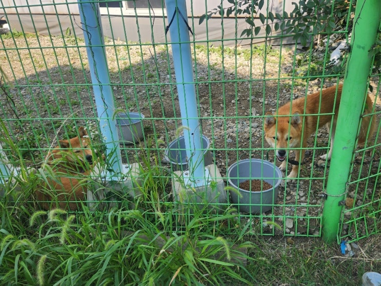  일상 포토덤프 모음집_9월 이모저모